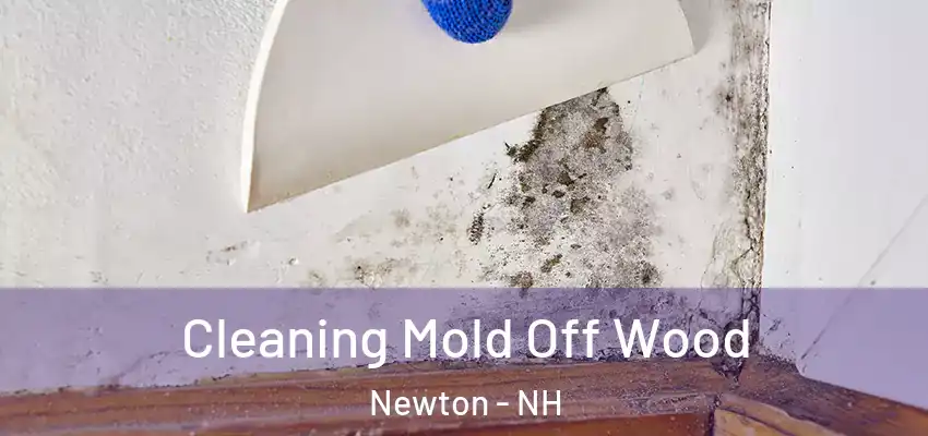 Cleaning Mold Off Wood Newton - NH