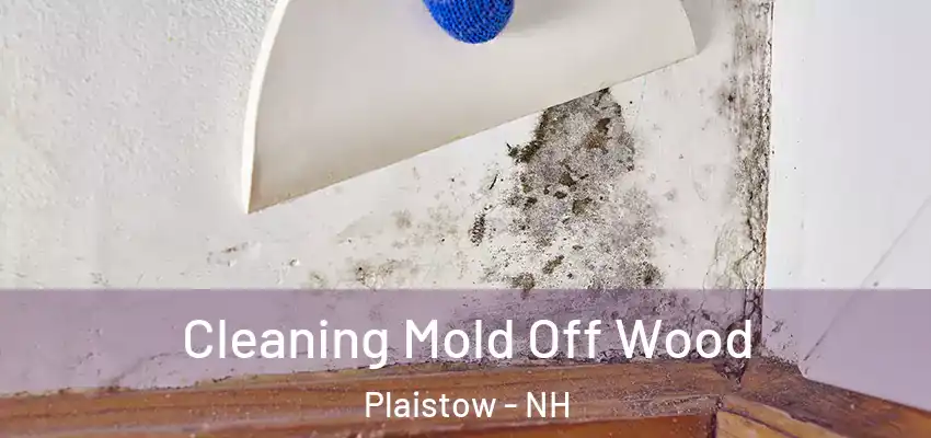 Cleaning Mold Off Wood Plaistow - NH