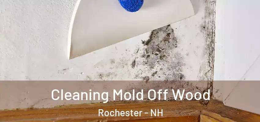 Cleaning Mold Off Wood Rochester - NH