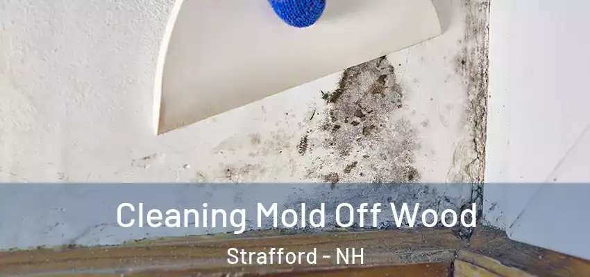  Cleaning Mold Off Wood Strafford - NH
