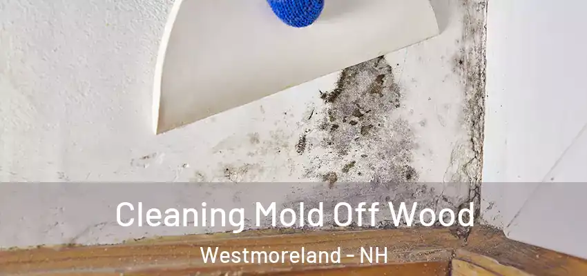 Cleaning Mold Off Wood Westmoreland - NH