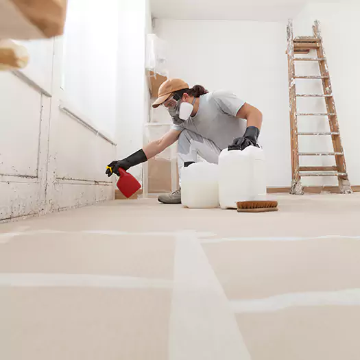 Reliable Mold Stain Remover Specialists in Plymouth, NH