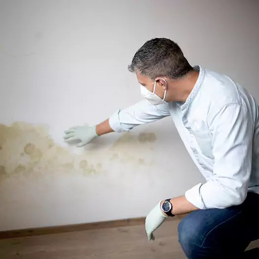 Trusted Mold Remediation and Removal Experts in Plymouth, NH