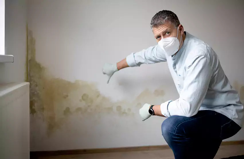 Mold Removal in Plymouth, NH