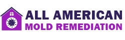 All American Mold Remediation