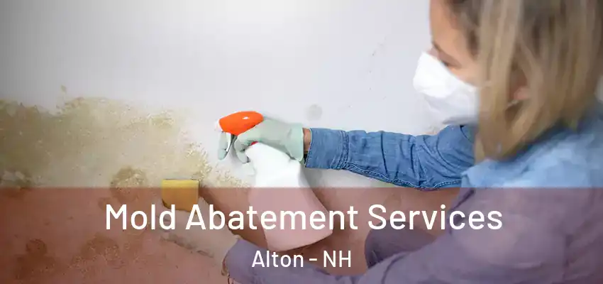  Mold Abatement Services Alton - NH