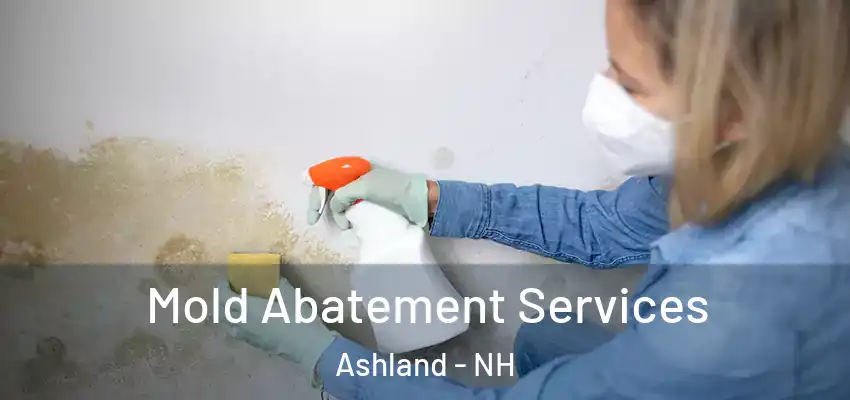  Mold Abatement Services Ashland - NH