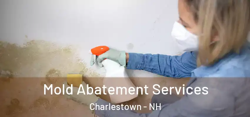  Mold Abatement Services Charlestown - NH