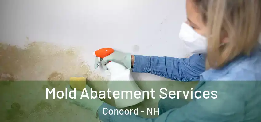  Mold Abatement Services Concord - NH