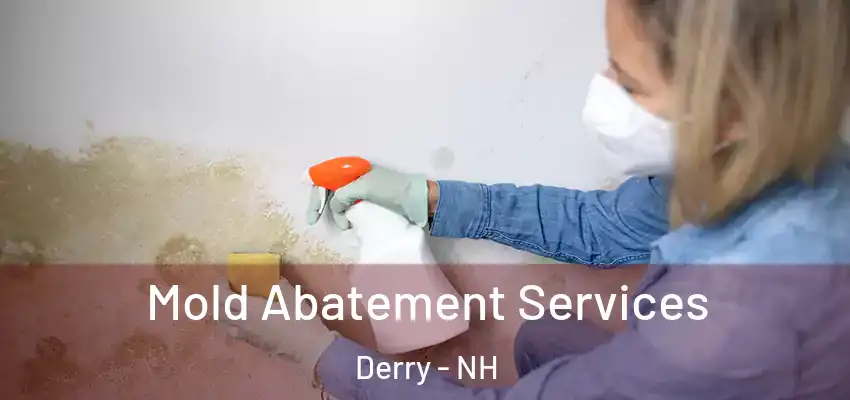  Mold Abatement Services Derry - NH