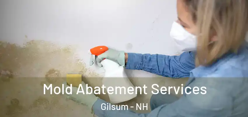  Mold Abatement Services Gilsum - NH
