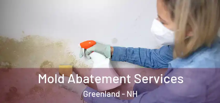  Mold Abatement Services Greenland - NH