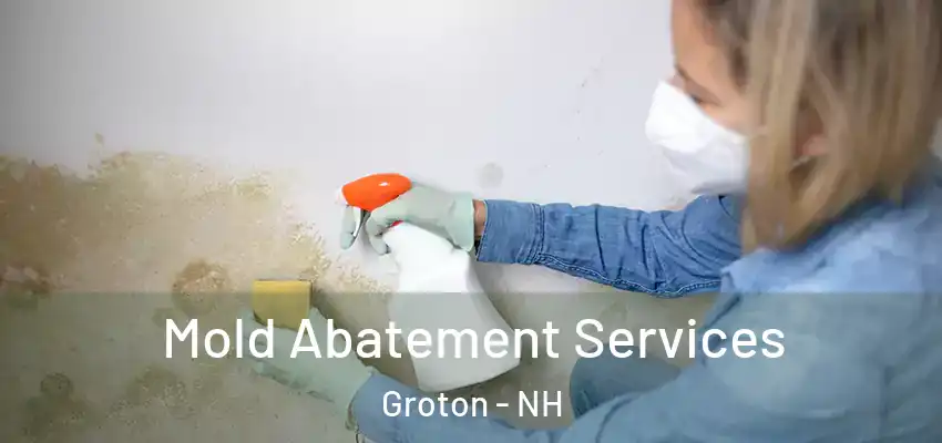  Mold Abatement Services Groton - NH