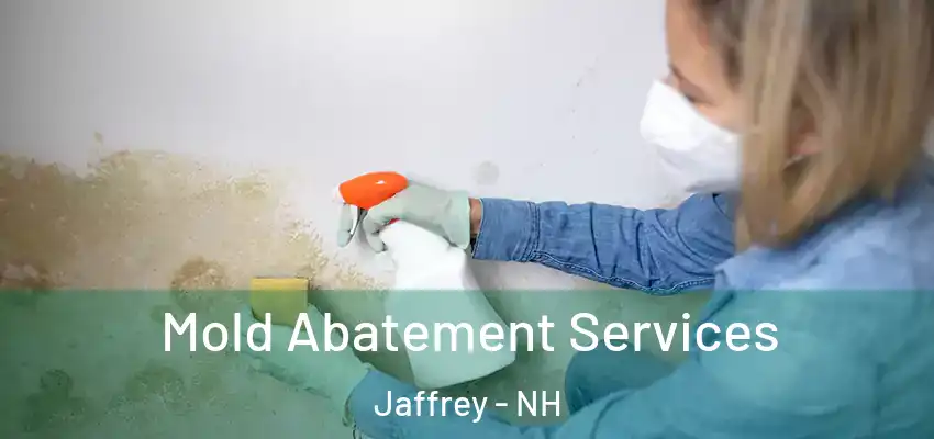  Mold Abatement Services Jaffrey - NH