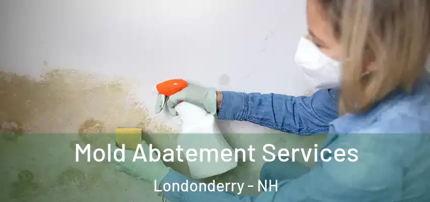  Mold Abatement Services Londonderry - NH