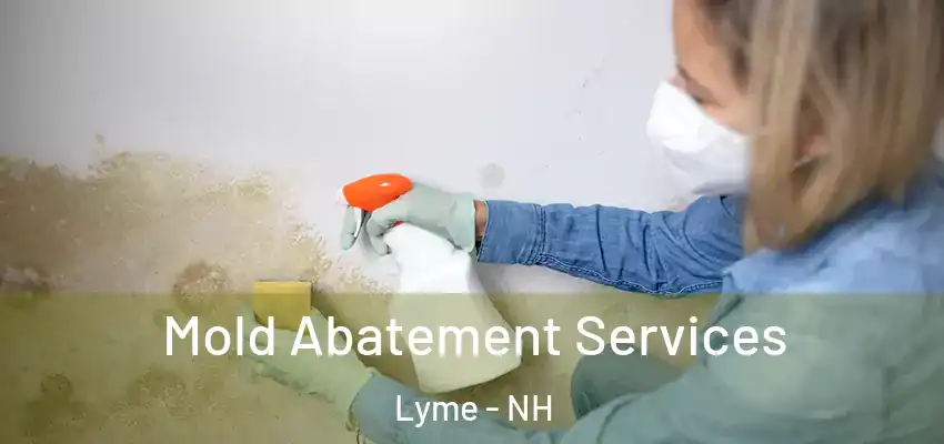  Mold Abatement Services Lyme - NH