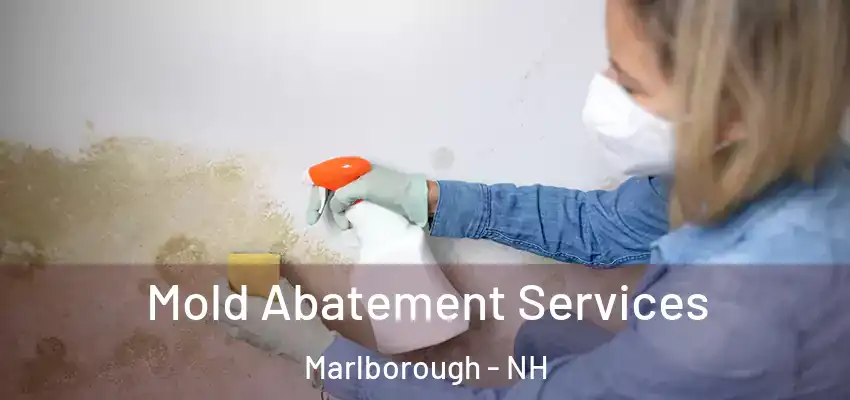  Mold Abatement Services Marlborough - NH