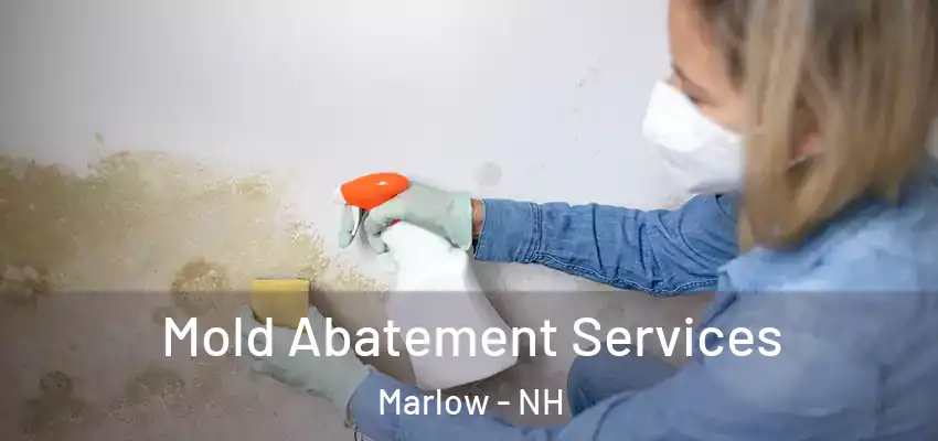  Mold Abatement Services Marlow - NH