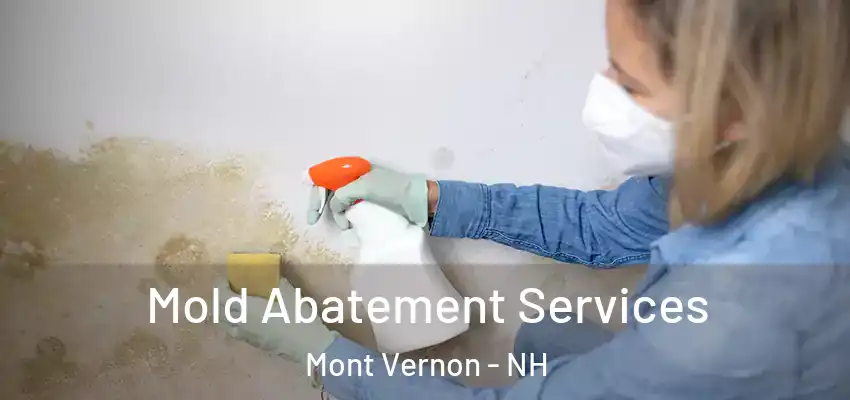  Mold Abatement Services Mont Vernon - NH
