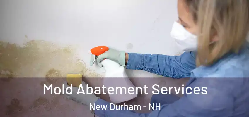  Mold Abatement Services New Durham - NH