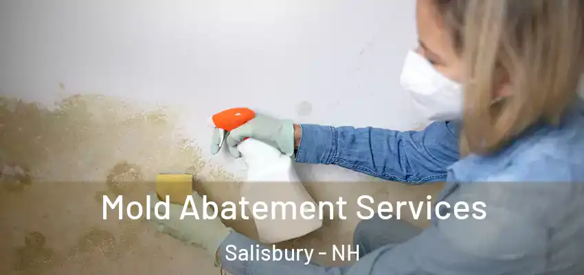  Mold Abatement Services Salisbury - NH
