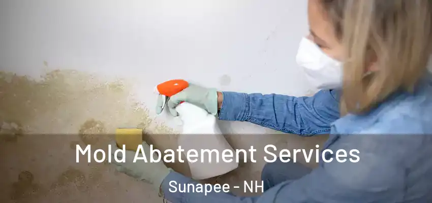Mold Abatement Services Sunapee - NH