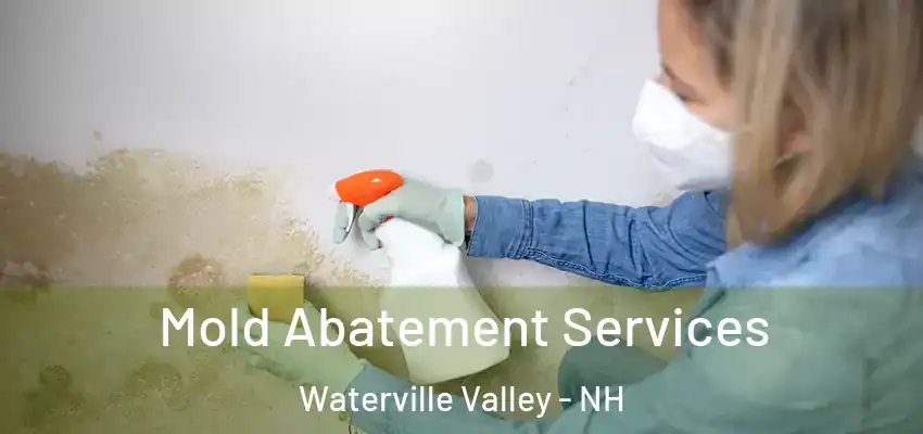  Mold Abatement Services Waterville Valley - NH