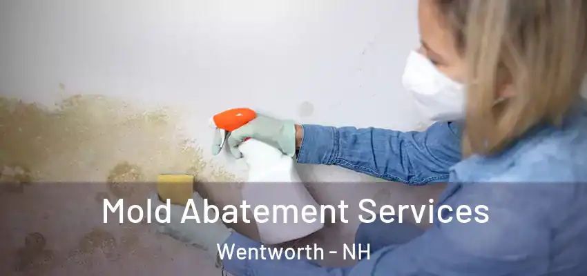  Mold Abatement Services Wentworth - NH