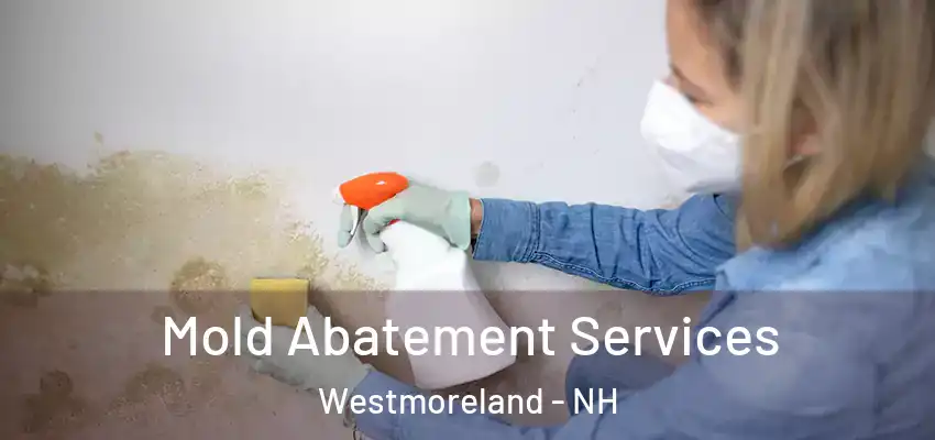  Mold Abatement Services Westmoreland - NH