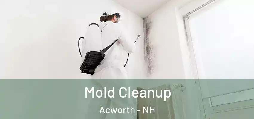  Mold Cleanup Acworth - NH