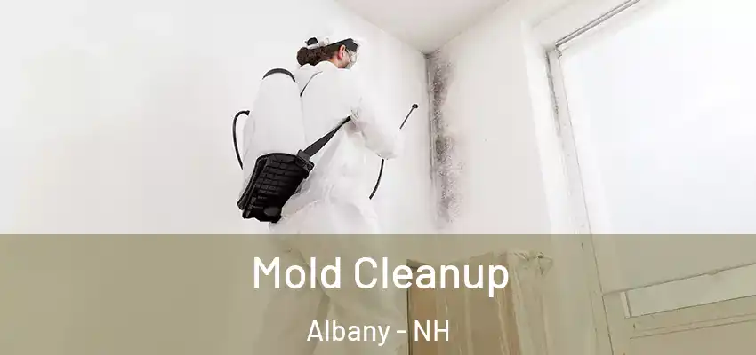  Mold Cleanup Albany - NH