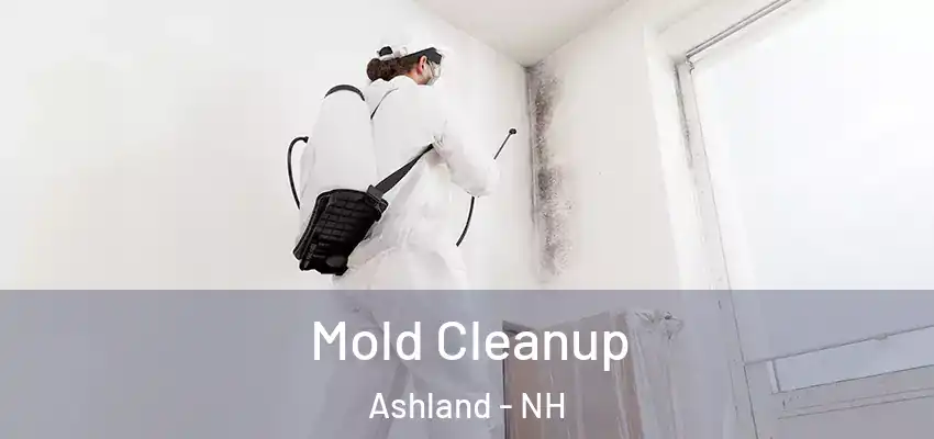  Mold Cleanup Ashland - NH