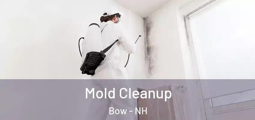  Mold Cleanup Bow - NH