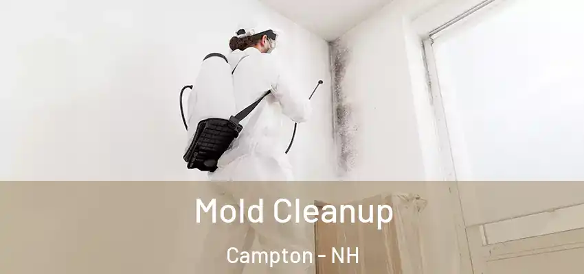  Mold Cleanup Campton - NH