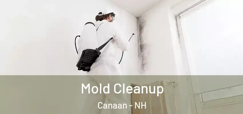  Mold Cleanup Canaan - NH