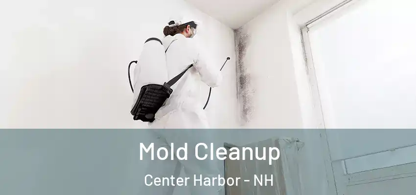  Mold Cleanup Center Harbor - NH