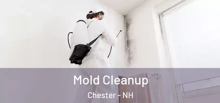 Mold Cleanup Chester - NH
