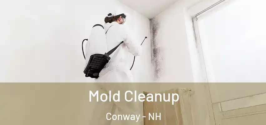 Mold Cleanup Conway - NH