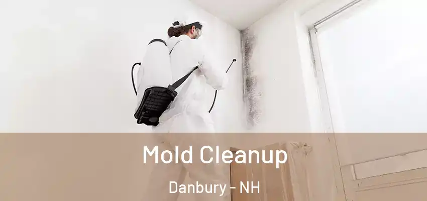  Mold Cleanup Danbury - NH