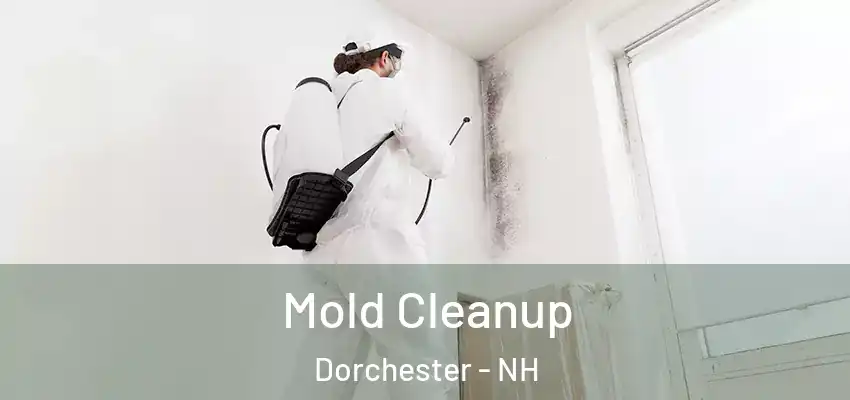  Mold Cleanup Dorchester - NH