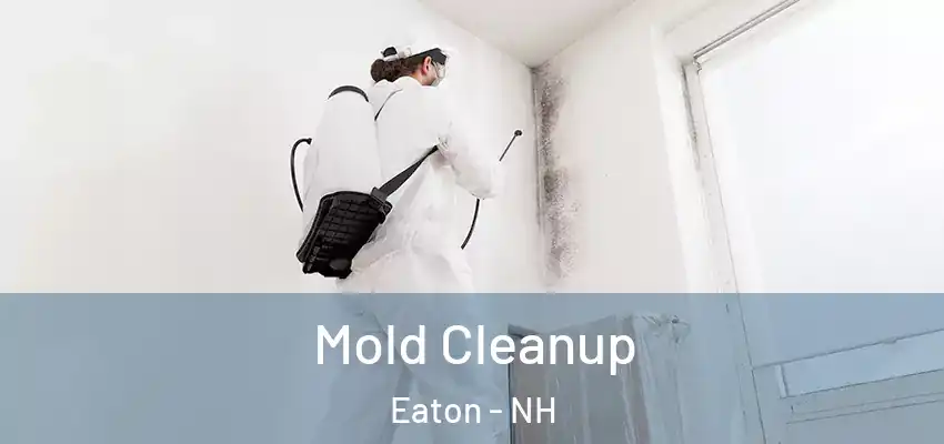  Mold Cleanup Eaton - NH
