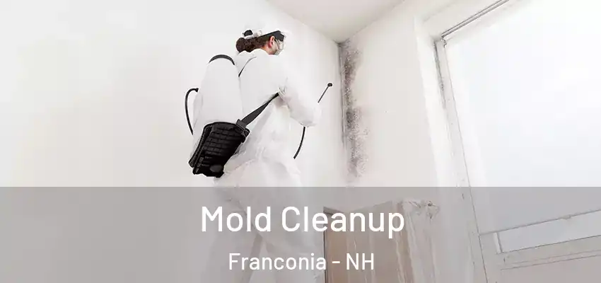  Mold Cleanup Franconia - NH
