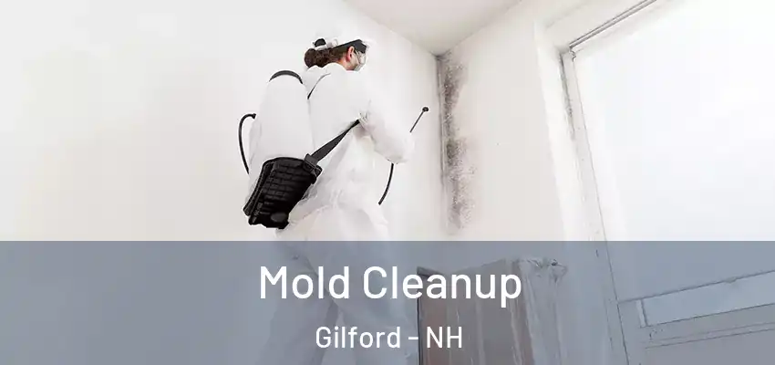  Mold Cleanup Gilford - NH