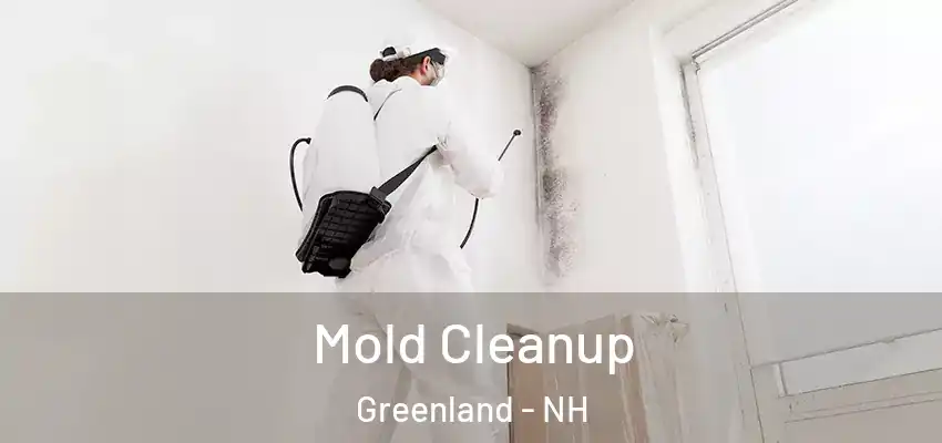  Mold Cleanup Greenland - NH