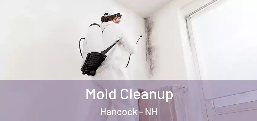  Mold Cleanup Hancock - NH