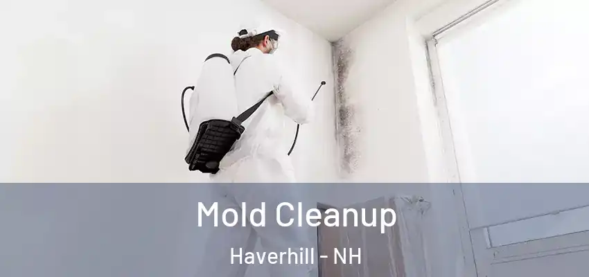  Mold Cleanup Haverhill - NH