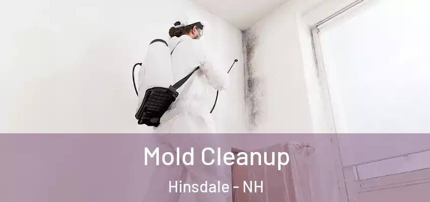  Mold Cleanup Hinsdale - NH