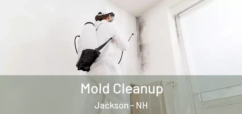  Mold Cleanup Jackson - NH
