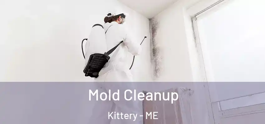  Mold Cleanup Kittery - ME