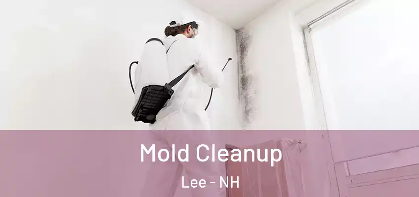  Mold Cleanup Lee - NH